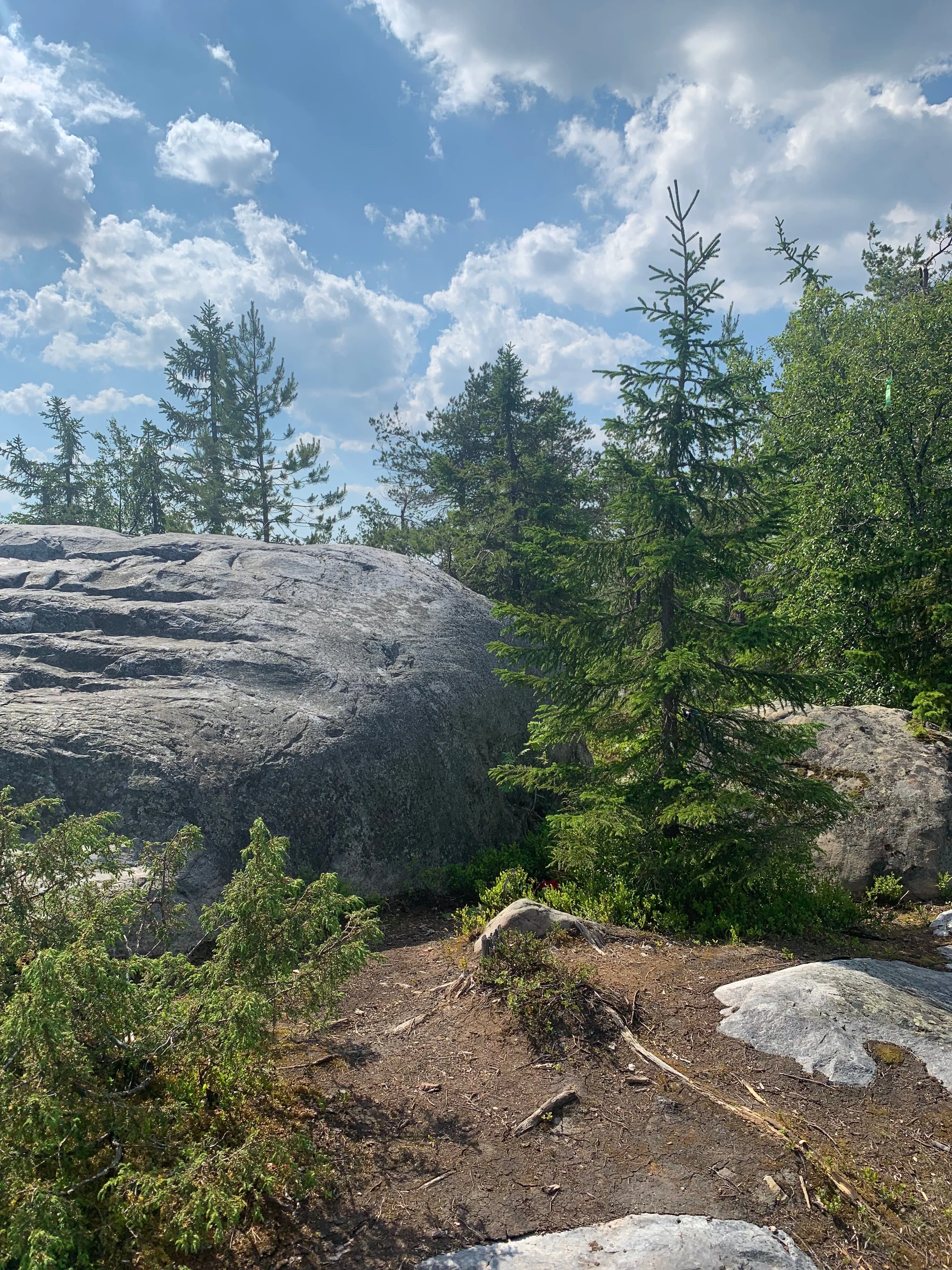 Вид с лестницы на карельский лес