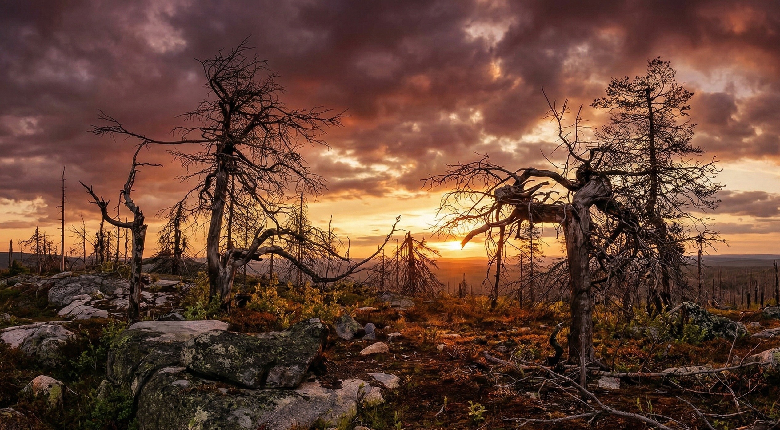 Фотопрограмма